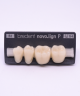 NOVO LIGN P VENEER POST G4 LOWER B2 4 pc