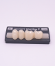 NOVO LIGN P VENEER POST 3W3 LOWER A2 4 pc