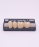 NOVO LIGN P VENEER POST 3W3 LOWER C3 4 pc