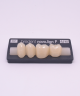 NOVO LIGN P VENEER POST 3W3 LOWER D2 4 pc