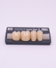 NOVO LIGN P VENEER POST G3 LOWER A3 4 pc