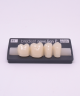 NOVO LIGN P VENEER POST G3 LOWER B1 4 pc