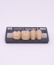 NOVO LIGN P VENEER POST G3 LOWER C3 4 pc