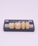 NOVO LIGN P VENEER POST G3 LOWER D2 4 pc