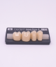 NOVO LIGN P VENEER POST G3 LOWER D3 4 pc