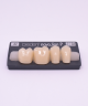 NOVO LIGN P VENEER POST G4 LOWER A2 4 pc