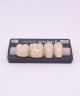 NOVO LIGN P VENEER POST G4 LOWER B1 4 pc