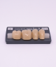 NOVO LIGN P VENEER POST G4 LOWER C4 4 pc