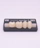 NOVO LIGN P VENEER POST 4W3 LOWER B2 4 pc