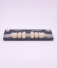 NOVO LIGN P VENEER POST WL2 LOWER A1 6 pc