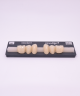 NOVO LIGN P VENEER POST WL2 LOWER A2 6 pc