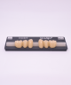 NOVO LIGN P VENEER POST WL2 LOWER A3.5 6 pc