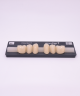 NOVO LIGN P VENEER POST WL3 LOWER A2 6 pc