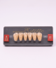 WIEDENT ESTETIC LOWER ANTERIORS SHADE A3.5