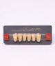 WIEDENT ESTETIC LOWER ANTERIORS SHADE B4