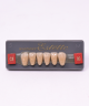 WIEDENT ESTETIC LOWER ANTERIORS SHADE C4