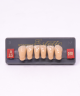 WIEDENT ESTETIC LOWER ANTERIORS SHADE A3.5