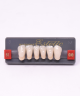 WIEDENT ESTETIC LOWER ANTERIORS SHADE B1