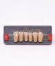 WIEDENT ESTETIC LOWER ANTERIORS SHADE C4