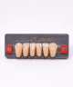 WIEDENT ESTETIC LOWER ANTERIORS SHADE B3