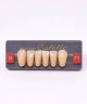 WIEDENT ESTETIC LOWER ANTERIORS SHADE B4