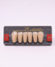 WIEDENT ESTETIC LOWER ANTERIORS SHADE C2