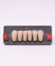 WIEDENT ESTETIC LOWER ANTERIORS SHADE D2