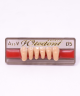 WIEDENT ESTETIC LOWER ANTERIORS SHADE A3.5