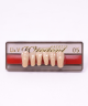 WIEDENT ESTETIC LOWER ANTERIORS SHADE D4