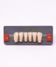 WIEDENT ESTETIC LOWER ANTERIORS SHADE A2