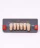 WIEDENT ESTETIC LOWER ANTERIORS SHADE C2