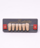 WIEDENT ESTETIC LOWER ANTERIORS SHADE C3