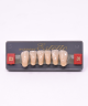 WIEDENT ESTETIC LOWER ANTERIORS SHADE D3