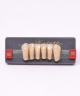 WIEDENT ESTETIC LOWER ANTERIORS SHADE A3