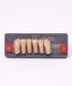 WIEDENT ESTETIC LOWER ANTERIORS SHADE A4