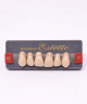 WIEDENT ESTETIC UPPER ANTERIORS SHADE A2