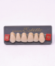 WIEDENT ESTETIC UPPER ANTERIORS SHADE D2