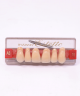 WIEDENT ESTETIC UPPER ANTERIORS SHADE A3