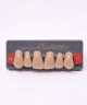 WIEDENT ESTETIC UPPER ANTERIORS SHADE C4