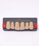 WIEDENT ESTETIC UPPER ANTERIORS SHADE D4