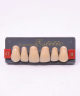 WIEDENT ESTETIC UPPER ANTERIORS SHADE A3