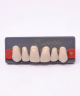 WIEDENT ESTETIC UPPER ANTERIORS SHADE C1