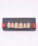 WIEDENT ESTETIC UPPER ANTERIORS SHADE A2