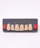 WIEDENT ESTETIC UPPER ANTERIORS SHADE A2