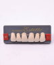 WIEDENT ESTETIC UPPER ANTERIORS SHADE A1