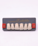 WIEDENT ESTETIC UPPER ANTERIORS SHADE B1