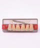 WIEDENT ESTETIC UPPER ANTERIORS SHADE B3