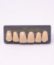 WIEDENT ESTETIC UPPER ANTERIORS SHADE A3