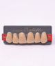 WIEDENT ESTETIC UPPER ANTERIORS SHADE A4