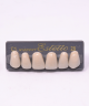 WIEDENT ESTETIC UPPER ANTERIORS SHADE C1